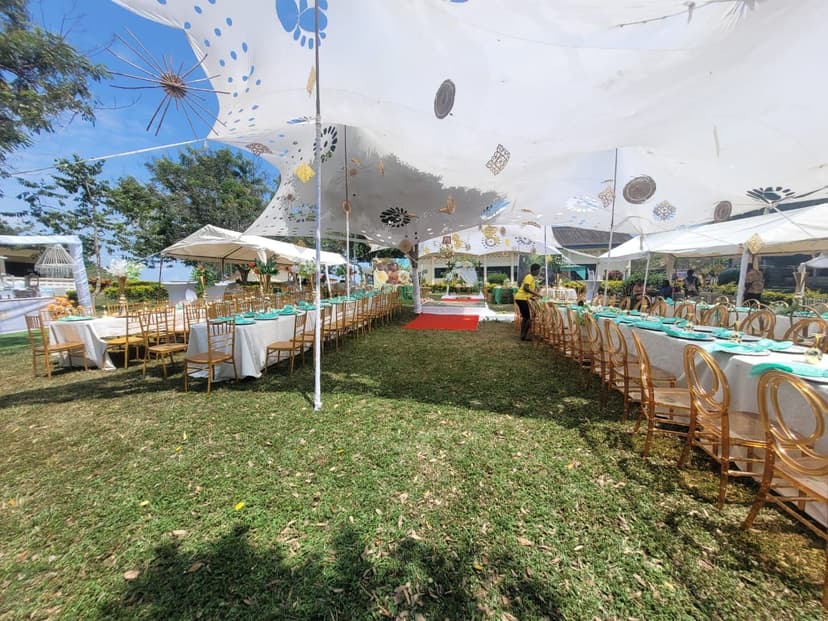 Wedding 12